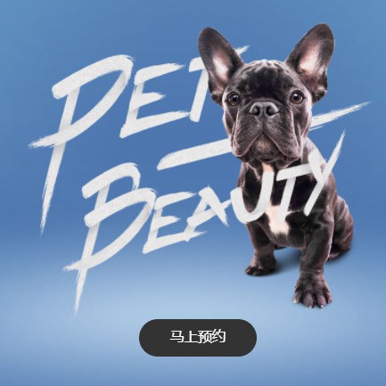 六盘水市宠物中心小程序开发