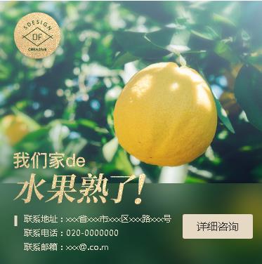 六盘水市果园果林小程序开发